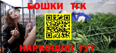 гидропоника Камышлов