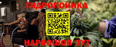 гидропоника Камышлов