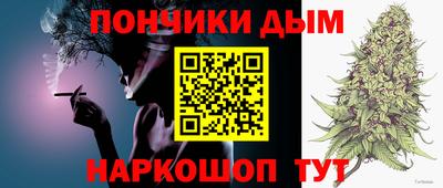 гидропоника Камышлов